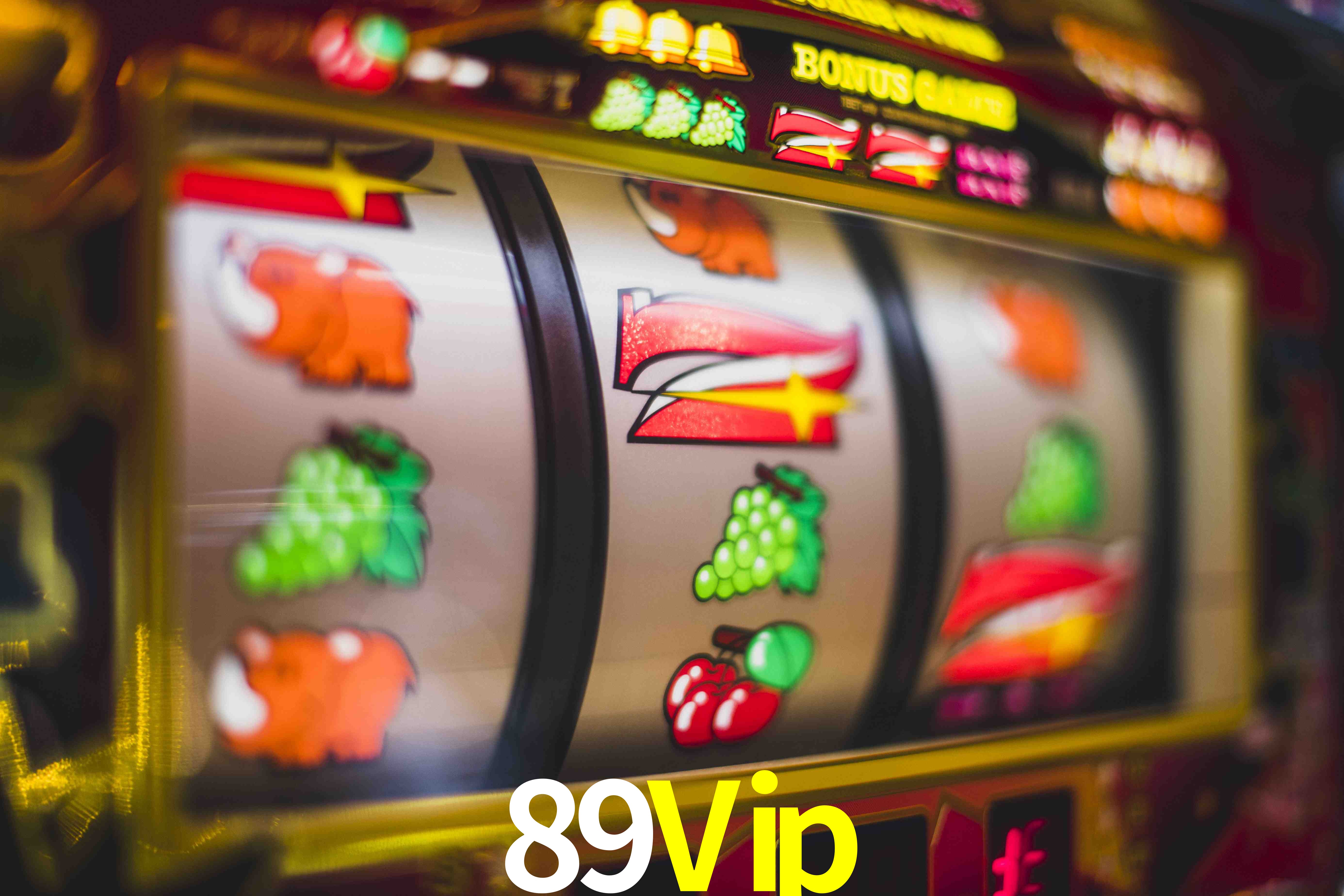 Experiência VIP 89Vip